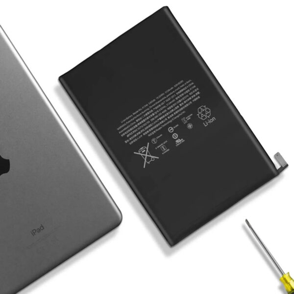Batterie iPad mini 5 (2019)
